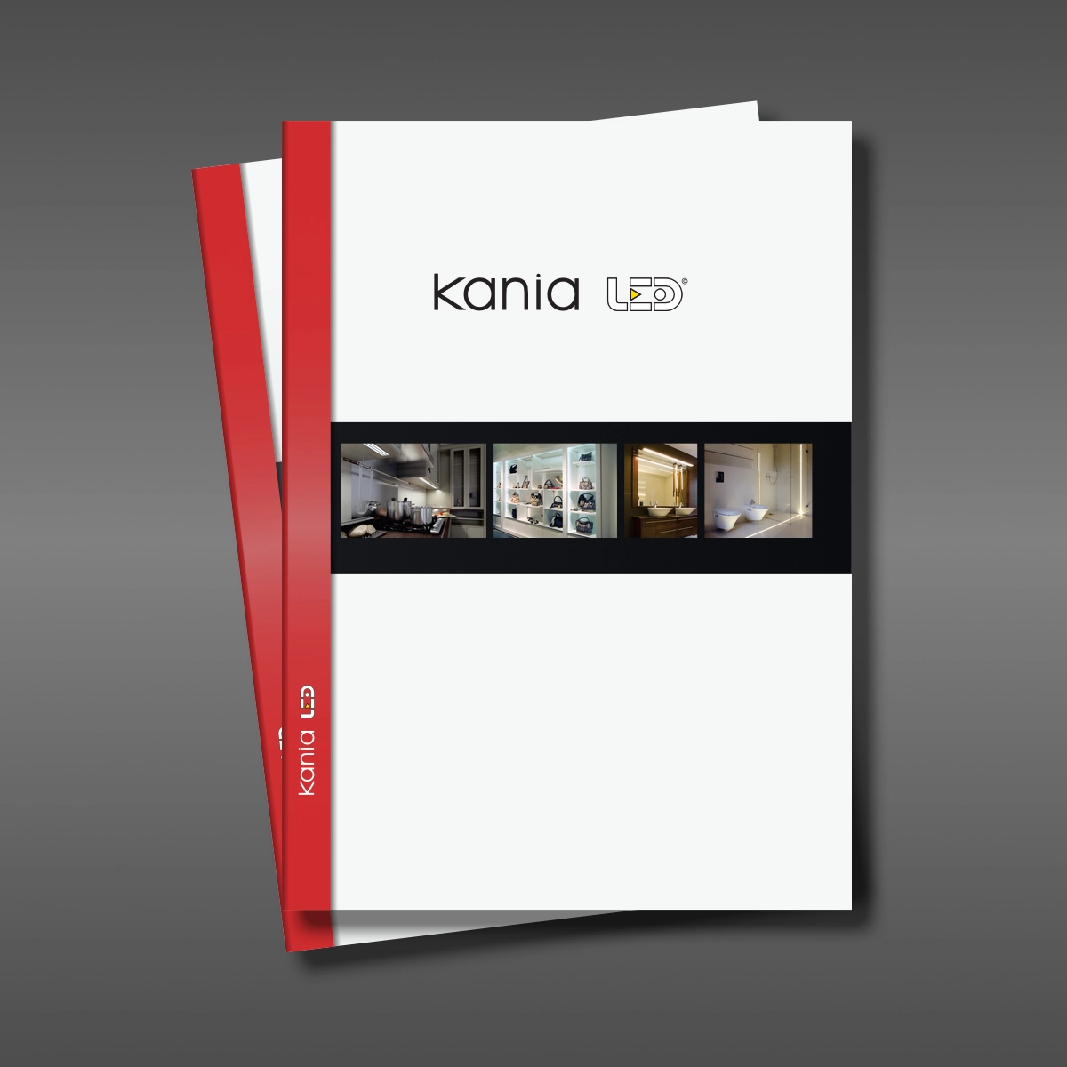 catalogs, flyers, spec sheets and price lists